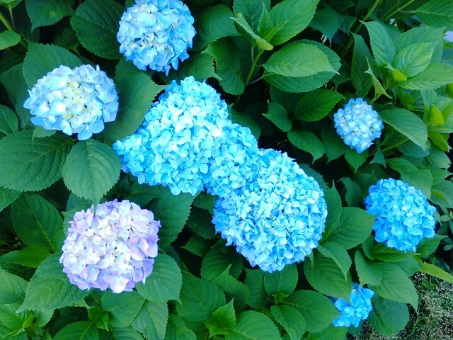 c0038742_1745596.jpg