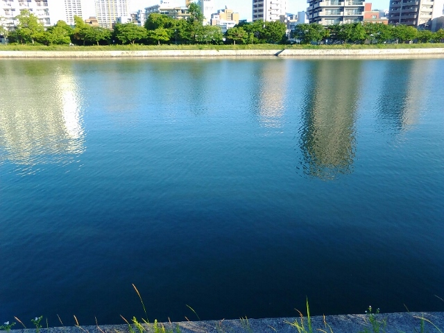 c0038742_17461219.jpg