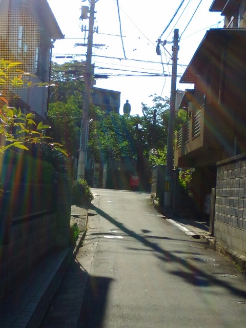 c0038742_17482320.jpg