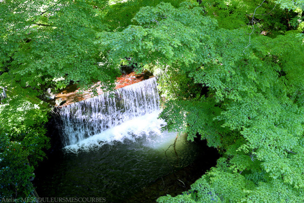 e0194450_08242007.jpg