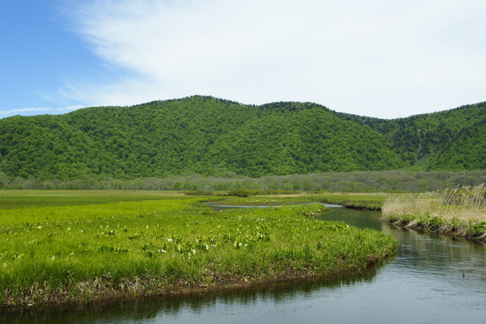 e0307372_21191469.jpg