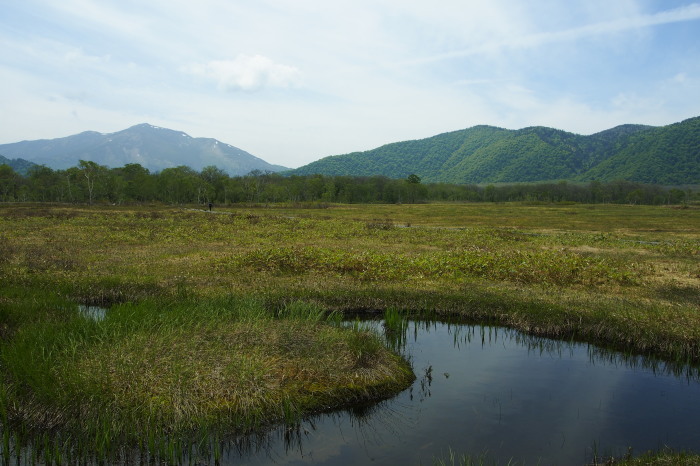 e0307372_21551020.jpg