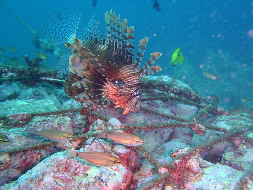 e0064291_11324485.jpg