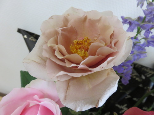 f0204295_17433218.jpg