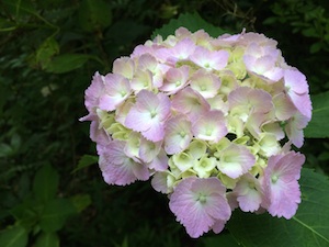 b0139996_20462377.jpg