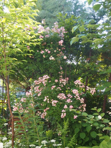 c0117007_23311857.jpg