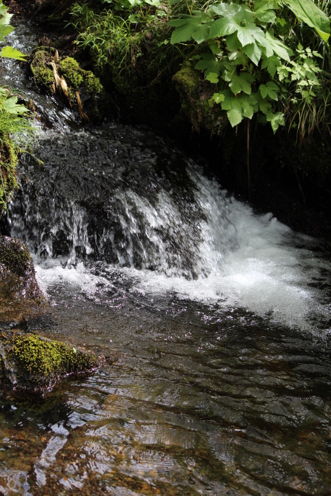 a0315813_8143335.jpg
