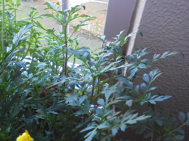 a0268821_23415931.jpg