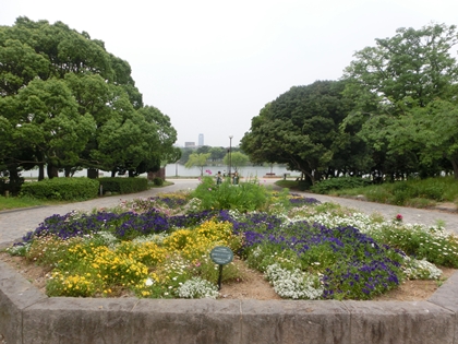 a0105023_1039238.jpg