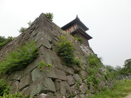 a0105023_1111056.jpg