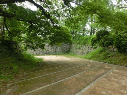 a0105023_1151167.jpg