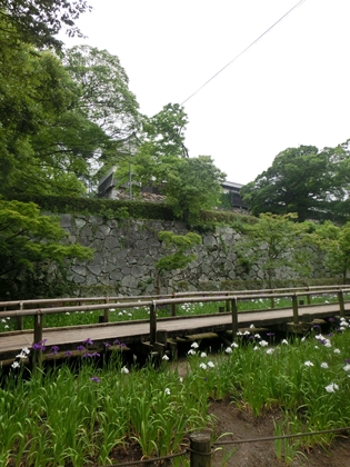 a0105023_20485412.jpg