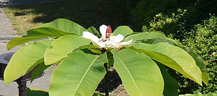 b0068423_2245544.jpg
