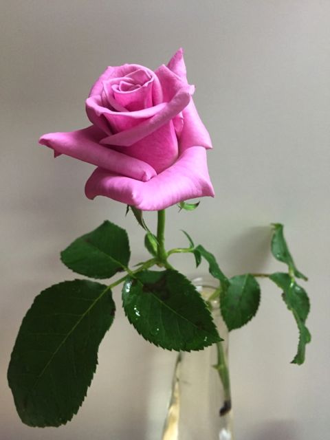 f0229926_21175963.jpg