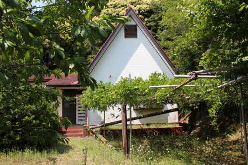 e0166032_20590737.jpg
