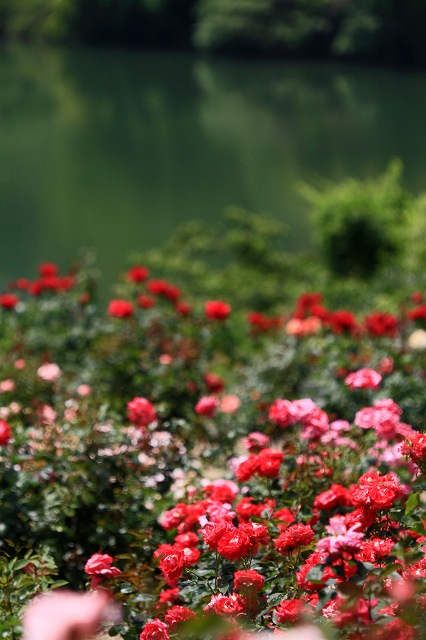 a0242438_20344516.jpg