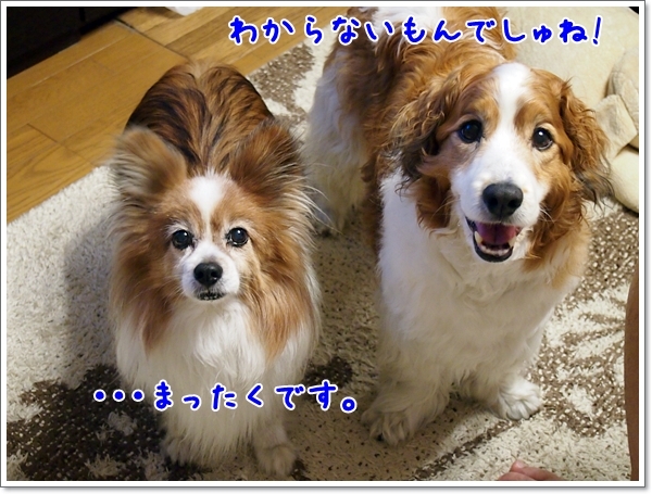 d0013149_23570566.jpg