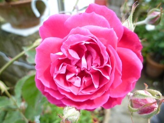 c0141555_22220688.jpg