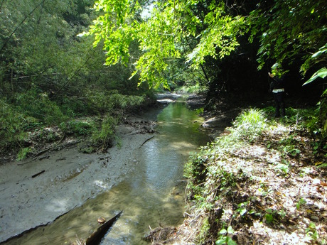 a0044456_034346.jpg