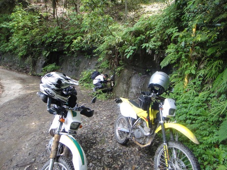 a0044456_0381219.jpg