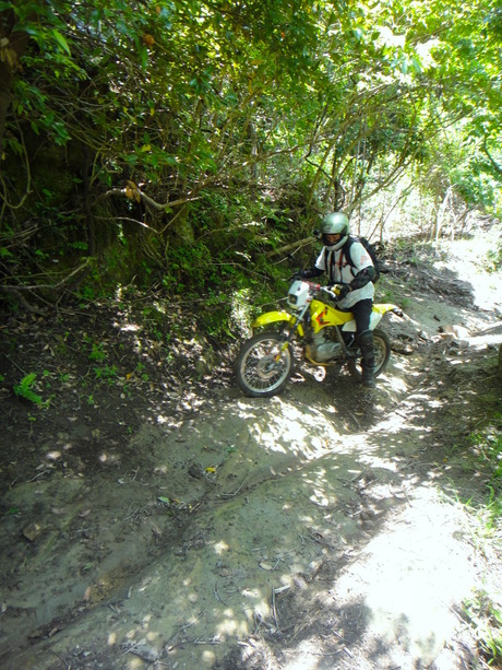 a0044456_072516.jpg