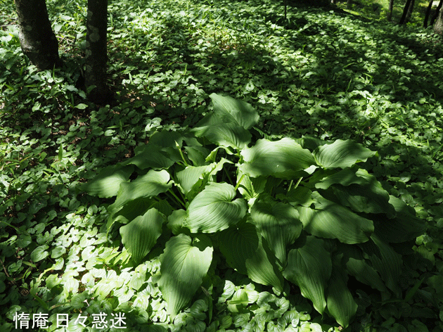 e0346064_18511153.gif