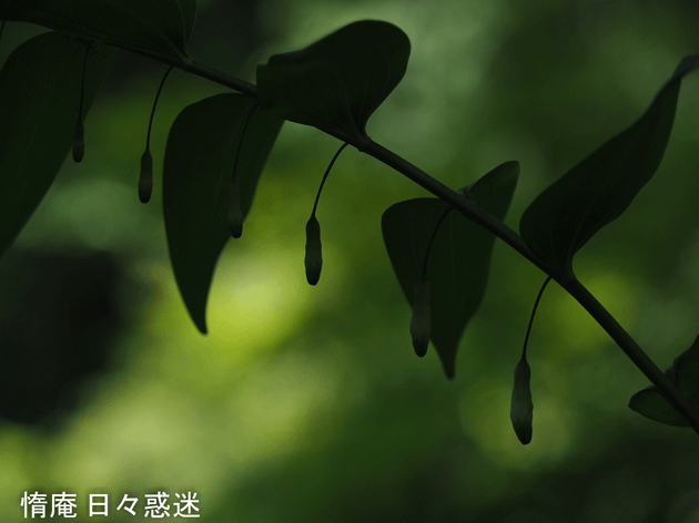e0346064_18513959.gif