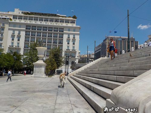 f0037264_18595271.jpg