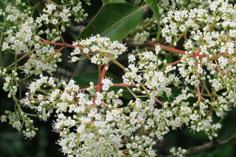 e0292172_205822.jpg