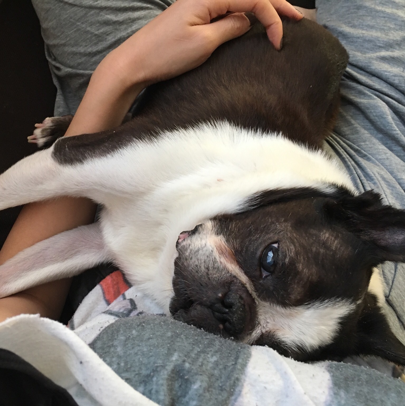 d0041575_20293218.jpeg