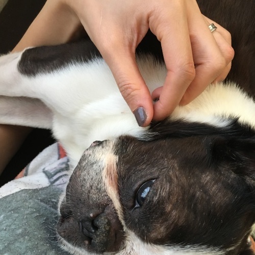 d0041575_20295050.jpeg