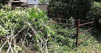 f0003283_13420371.jpg