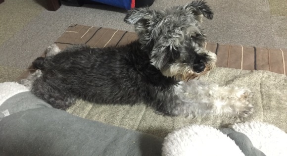 b0188998_23121564.jpeg