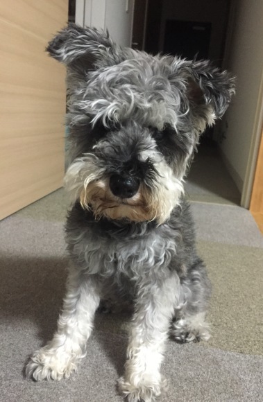 b0188998_23122690.jpeg