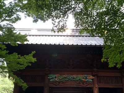 a0236300_0101448.jpg