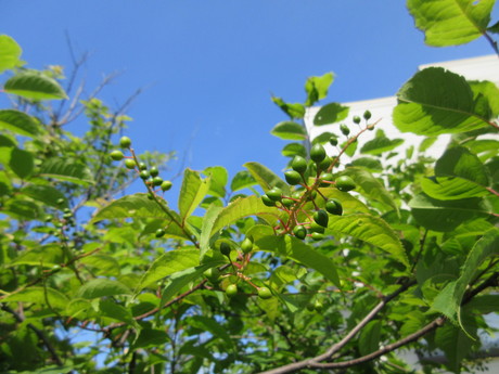 a0203003_9564315.jpg
