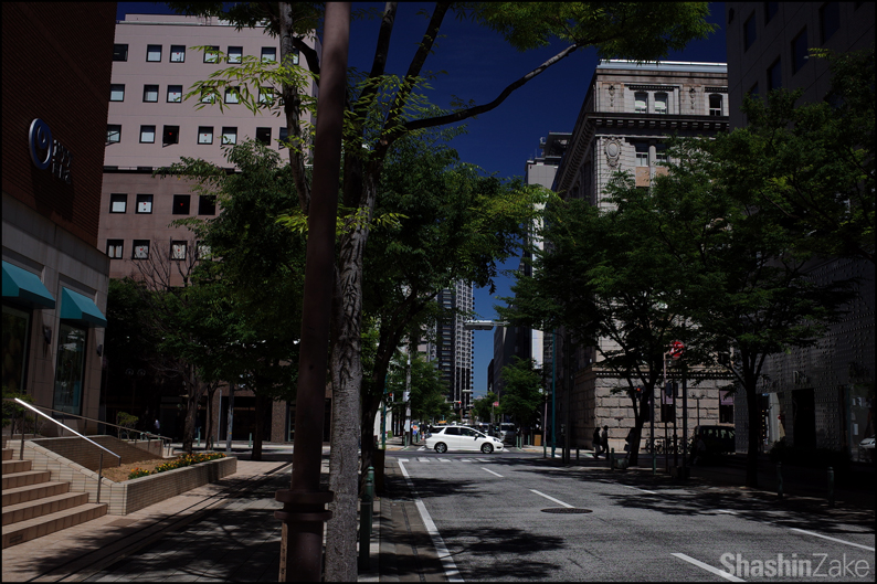 c0102003_6575544.jpg