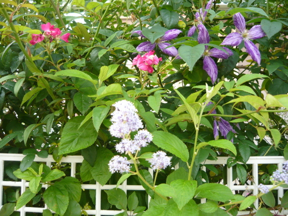 a0139007_17482069.jpg
