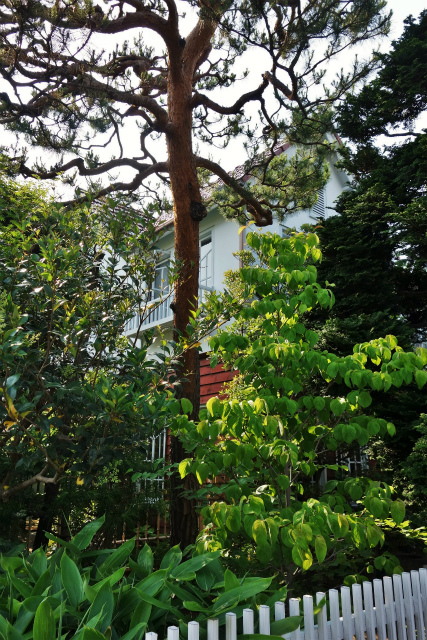 b0064411_16174477.jpg