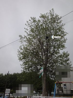 f0328313_14061148.jpg