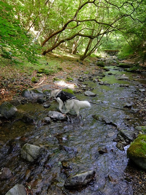 b0207615_16320033.jpg