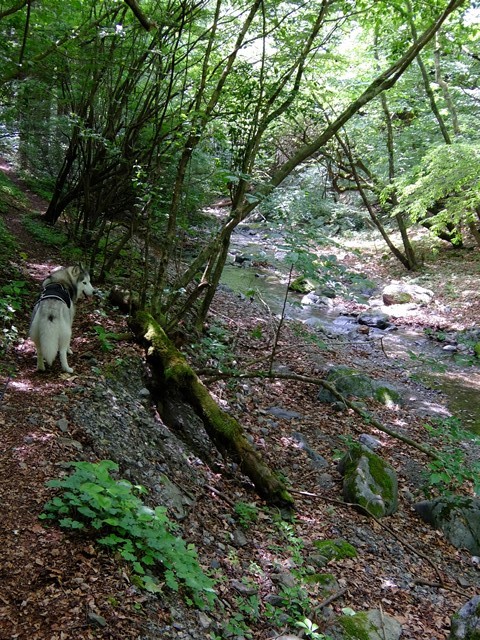 b0207615_16320226.jpg