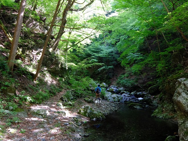 b0207615_16320815.jpg