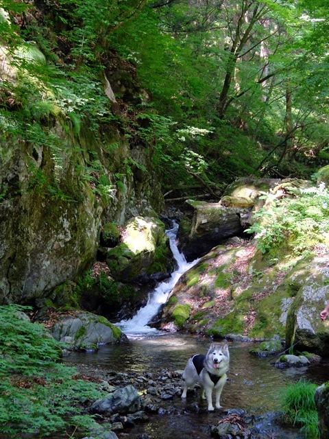 b0207615_16321460.jpg
