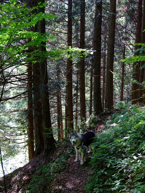 b0207615_16321952.jpg