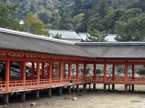 f0012916_17502015.jpg