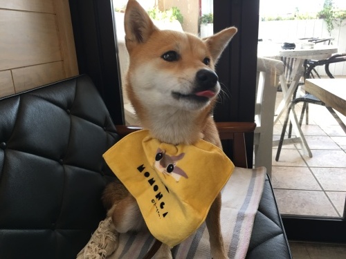 e0162117_23065499.jpeg