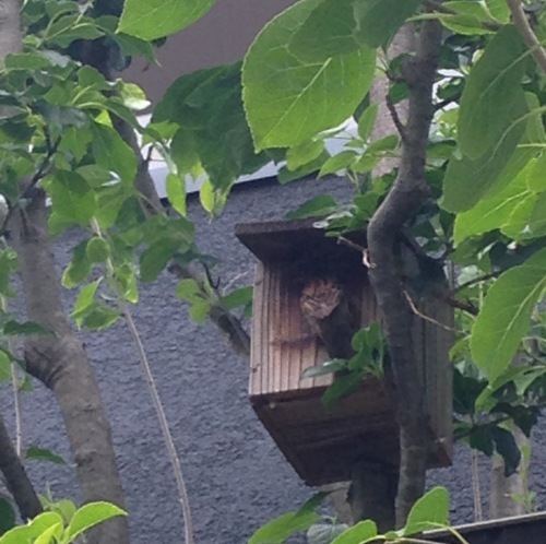 e0353719_22274435.jpeg