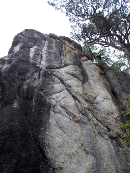 b0037220_23493491.jpg