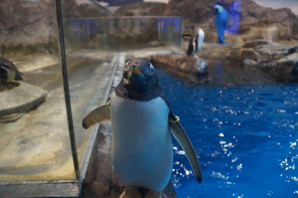 c0020320_20155352.jpg
